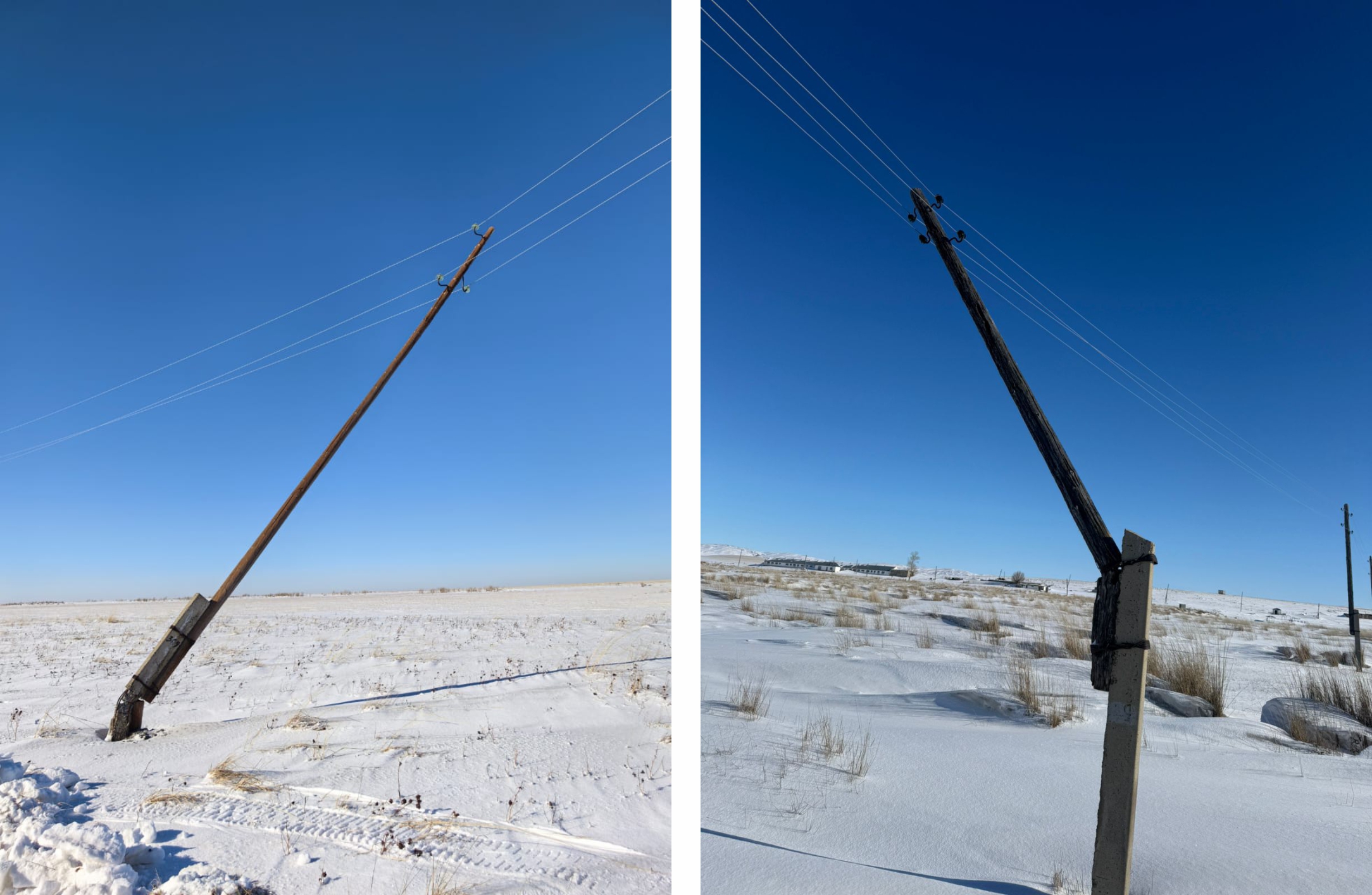 карасу фото